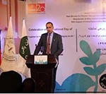 ریاست انسجام ماین پاکی: هرروز 6 نفر بر اثر انفجار ماین کشته و زخمی می‌شود